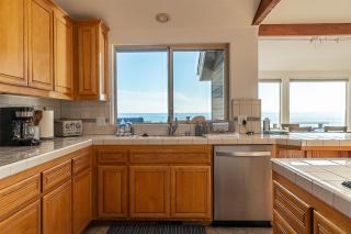 A Whale Watcher - Cambria - 3