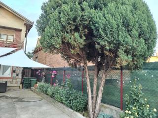 Family House - Golubac - 1