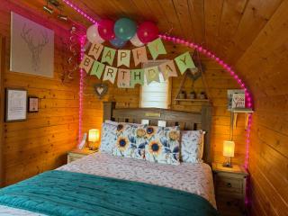 FINN VILLAGE - Loch Lomond Sunset Glamping Pod - Private Ofuro HOT TUB - Drymen - 5