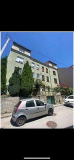 Red rose - Sarajevo - 8