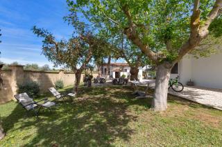 B&B Paduli Piani girasole - 5