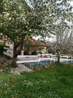 Domaine de LOLI - Saint-Girons - 1