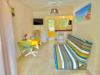 Studio Oasis - Piscine et proche des plages - Sainte-Anne - 6
