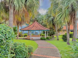 Studio Oasis - Piscine et proche des plages - Sainte-Anne - 5