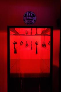 Nuit Sauvage - Love Room pour Fantasmes Réalisés - Thiers-sur-Thève - 2