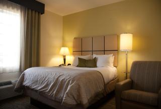 Candlewood Suites Alexandria by IHG - Alexandria - 4