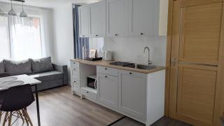 House in pine forest 7 - Gauja - 9