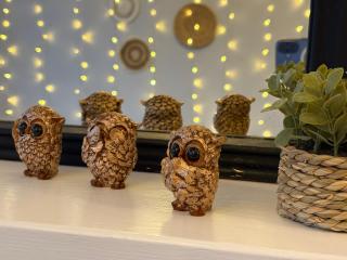 The Nordic Nook - York - 7