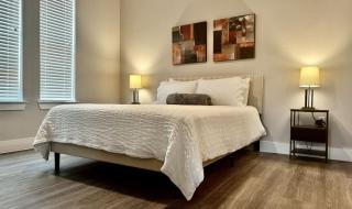 Charming 2-Bed Apt w-Huge Pool & Gym - Austin - 4