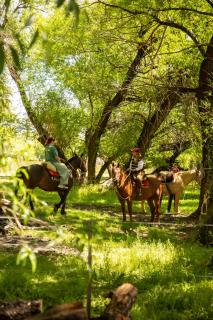 Estancia Chochoy Mallin Lodge - - 8