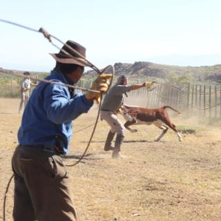 Estancia Chochoy Mallin Lodge - - 5