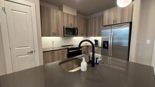 Beautiful 1BR - Fitness & Pool - Austin - 7