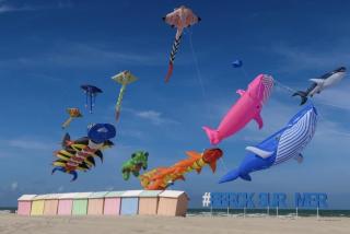 Le chti 100 m de la plage vue latérale mer - Berck-sur-Mer - 4