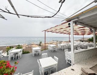 The Garden Tiny Homes - Ayvacık - 1