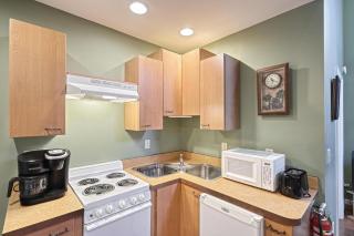 Suites On Chocolate - The Zoo - 6