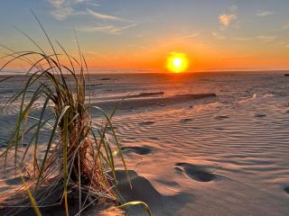 Mobys Beach Getaway Sleeps 11! Flat Beach Access Near Seabrook in Pacific Beach - Pacific Beach - 4
