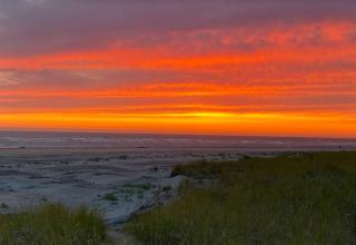 Mobys Beach Getaway Sleeps 11! Flat Beach Access Near Seabrook in Pacific Beach - Pacific Beach - 6