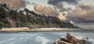 Mobys Beach Getaway Sleeps 11! Flat Beach Access Near Seabrook in Pacific Beach - Pacific Beach - 8