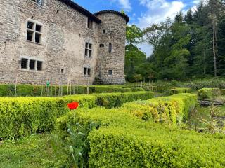 Château du Bouy - - 8