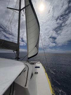 Aoroa - Paopao - 6