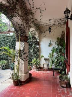 Big Garden, Big Patio in Centro - CASA311 - - 6