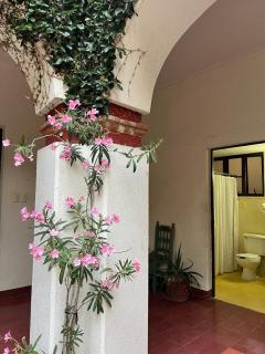 Big Garden, Big Patio in Centro - CASA311 - - 5