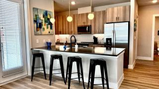 Upscale 2 Bed Apt Pool & Gym - Austin - 8