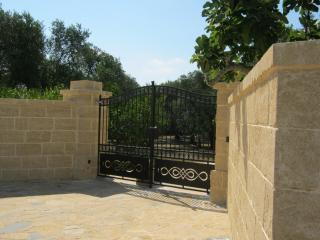 Villa in a lovely olive grove 10 minutes from the sea Vigna del Salento - Specchia Gallone - 9