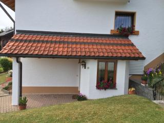 Gästehaus Kiefer Schluchsee - Schluchsee - 5