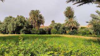 Home Amazigh Serenity - 0