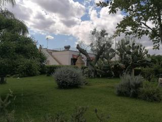 Villa in a lovely olive grove 10 minutes from the sea Vigna del Salento - Specchia Gallone - 8
