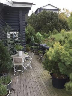 Luksus sommerhus i Mols bjerge med fantastisk view - Knebel - 5