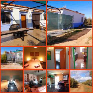 Casa Rural El Olivar - Cuevas del Campo - 6