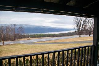 Purple Parrot - Hammondsport - 0