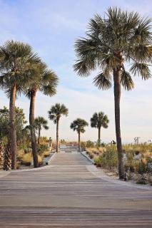 Beautiful Hilton Head Island - Hilton Head Island - 0