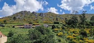 Alén de Louro - Apartamento Boca do Río - 7