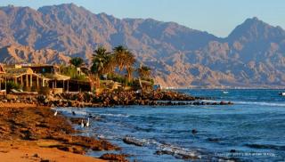 Jillyfish House Dahab - deine Oase in zwei Palmengärten - zentral am 'Lighthouse' - Dahab - 9