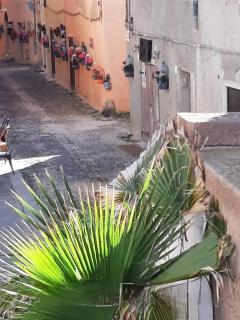 Apartment BS7 - Alghero - 6