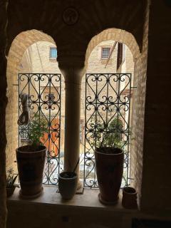 Suite Printemps Ryan - 5