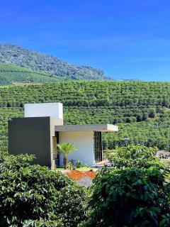 Casa Cedro - Espera Feliz - 5