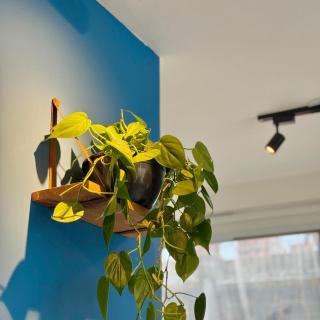 Apartamentos Prime - Prox a Oscar Freire, Jardins - São Paulo - 8
