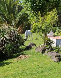 Casa Seahorses b - Sintra - 2