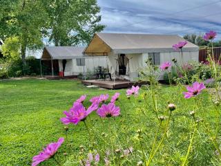 Daisy Glamping Tent at Zenzen Gardens - 0