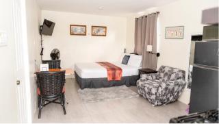 Mona Cottage - Kingston - 7