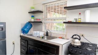 Mona Cottage - Kingston - 4