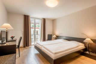 Hotel Alpina Luzern - Lucerna - 1