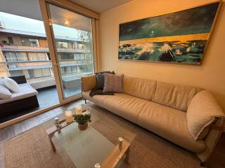 HOM I Amplio Depto 2D2B con Parking en Providencia - Santiago - 8