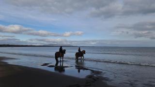 Cora´s House & Horses - 3