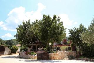 Apartments with parking spaces Dol, Hvar - 24122 - Stari Grad - 0