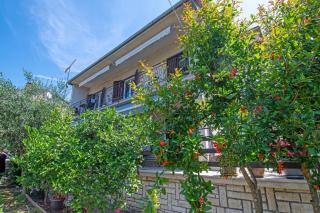 Apartments with parking spaces Pula - 23336 - Pula - 0